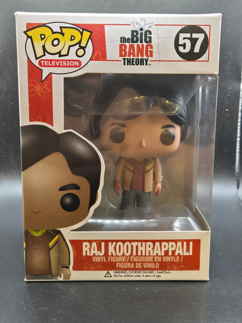 Raj Koothrappali - The Big Bang Theory