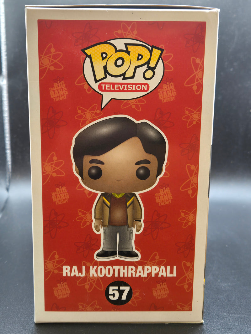 Raj Koothrappali - The Big Bang Theory